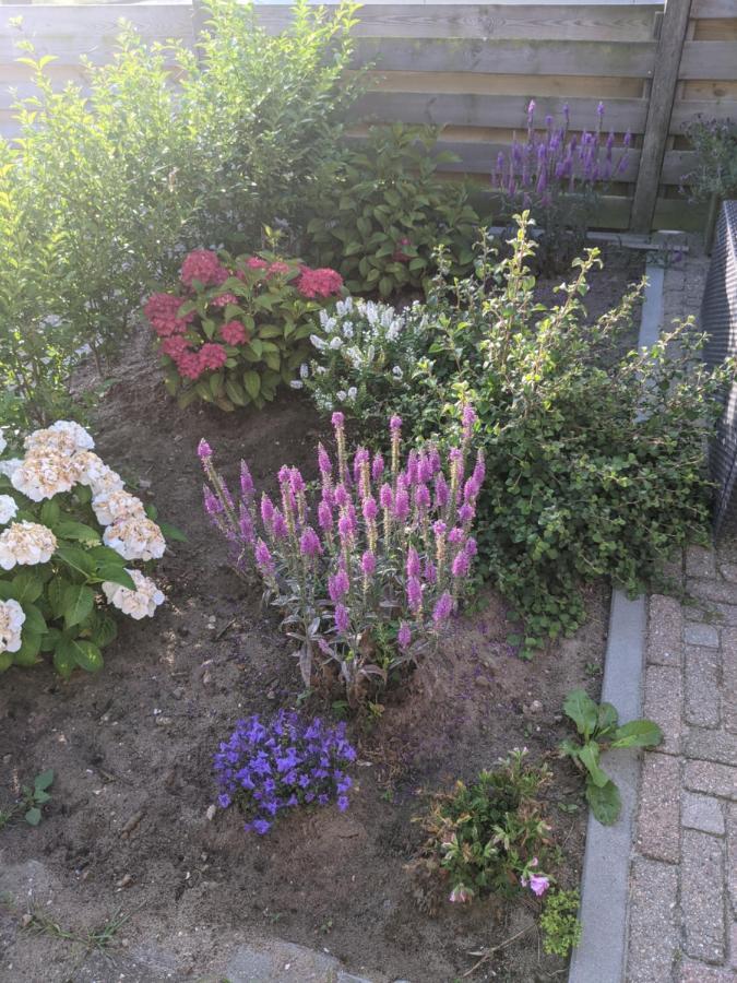 Logies21 Texel Bed & Breakfast Oosterend  Eksteriør bilde